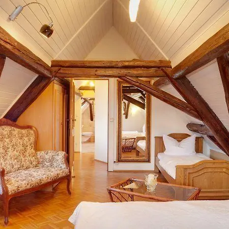 Peter Schaefer Отель Гинсхайм-Густавсбург