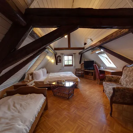 Peter Schaefer Гинсхайм-Густавсбург