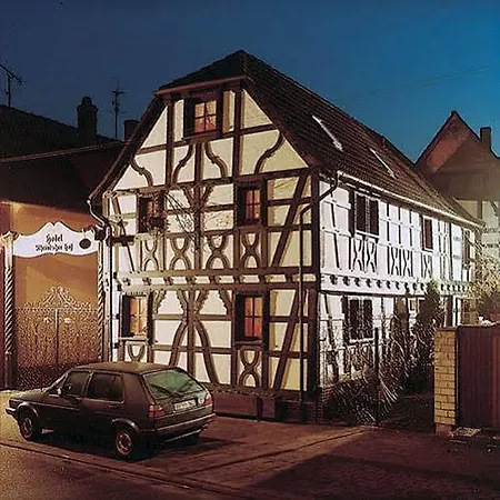 Peter Schaefer Гинсхайм-Густавсбург